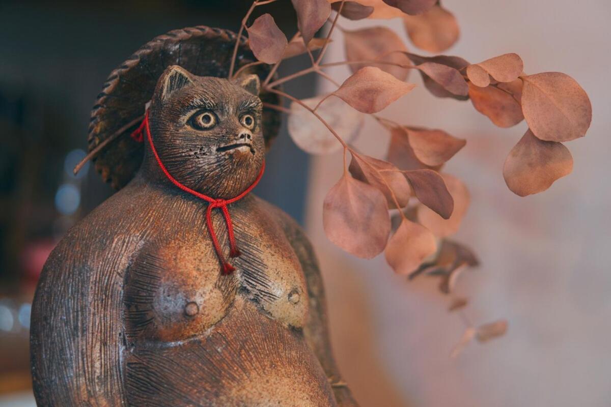 宿たぬきのねどこ Guesthouse Tanuki Chubu Ngoại thất bức ảnh